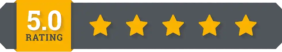 Elon Musk Badge